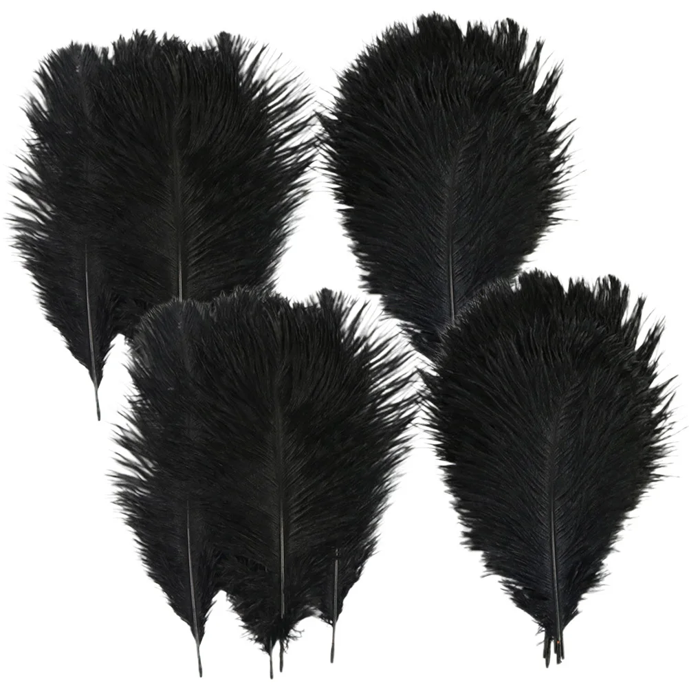 20Pcs Bulk Ostrich Natural Hair for DIY Wedding Party Home Decoration Craft Projects Vase Floral Design
20Pcs Bulk Ostrich Natural Hair for DIY Wedding Party Home Decoration Craft Projects Vase Floral Design