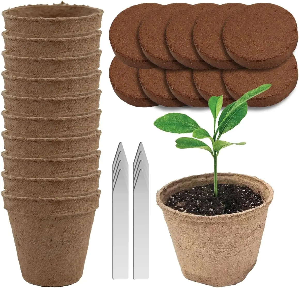 Biodegradable Seed Starter Kit: 10 Peat Pots, Soil Discs & Markers - Organic Germination Set for Indoor/Outdoor Plants
Biodegradable Seed Starter Kit: 10 Peat Pots, Soil Discs & Markers - Organic Germination Set for Indoor/Outdoor Plants