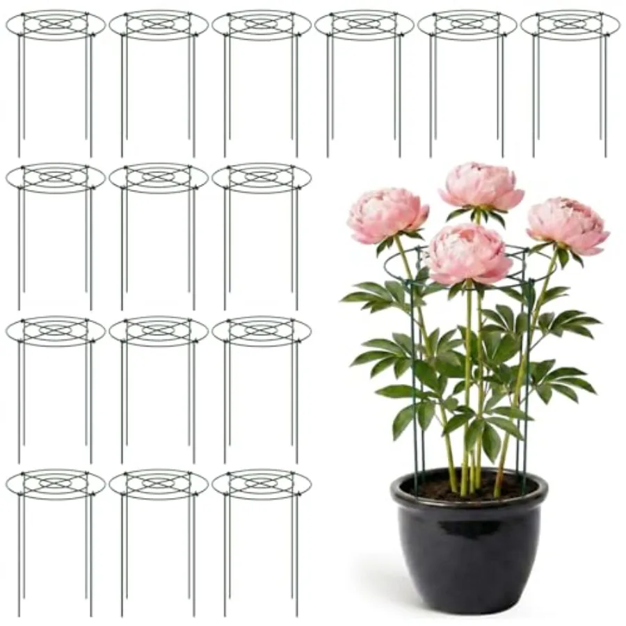 Outdoor peony cages and supports: metal D-shaped grow-through frames in silver durable rust-resistant steel for peonies tomatoe
Outdoor peony cages and supports: metal D-shaped grow-through frames in silver durable rust-resistant steel for peonies tomatoe