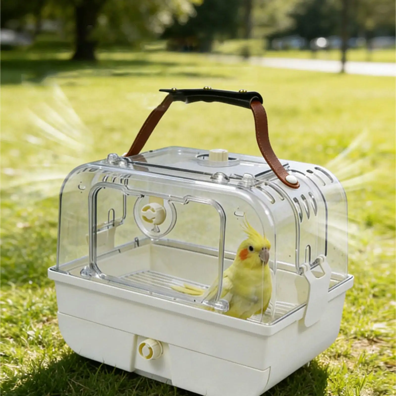 Bird Travel Carrier with Handle Durability Pet Supplies Lightweight Portable for Conures Lovebirds Budgies Cockatiel Finches
Bird Travel Carrier with Handle Durability Pet Supplies Lightweight Portable for Conures Lovebirds Budgies Cockatiel Finches