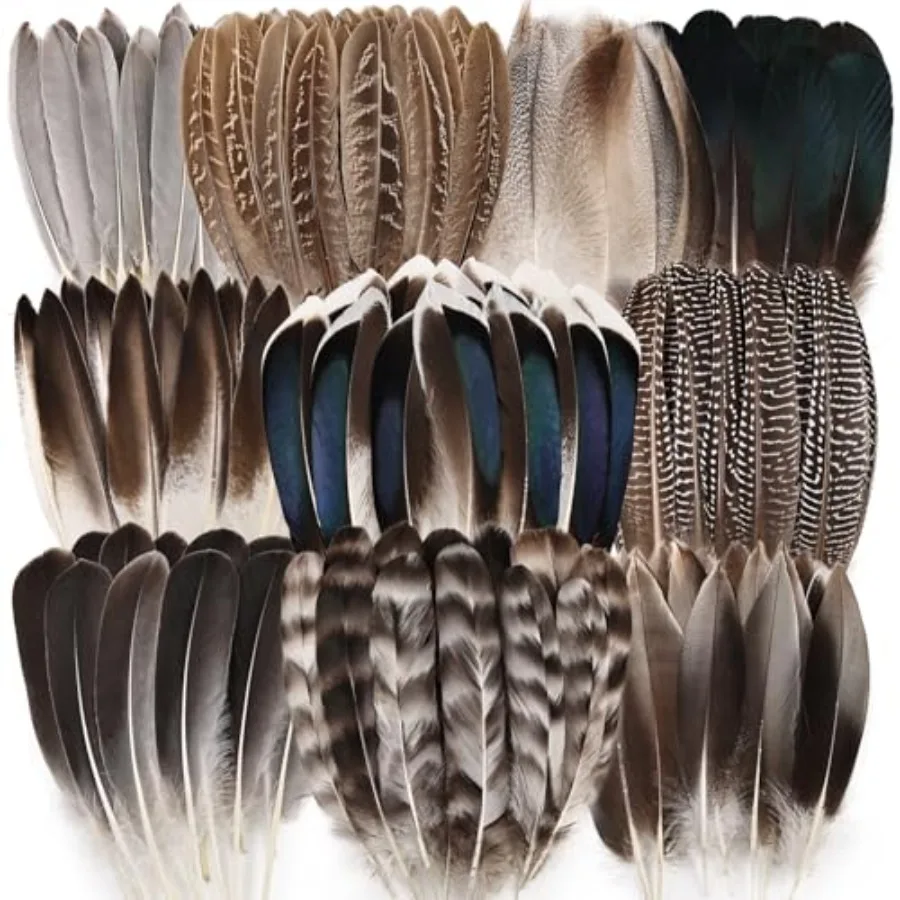 iHUFeather 20pcs Natural Pheasant Feathers Bulk Spotted Feathers 0 Styles Mixed Feathers for Crafts DIY Hat Floral Arrangements
iHUFeather 20pcs Natural Pheasant Feathers Bulk Spotted Feathers 0 Styles Mixed Feathers for Crafts DIY Hat Floral Arrangements