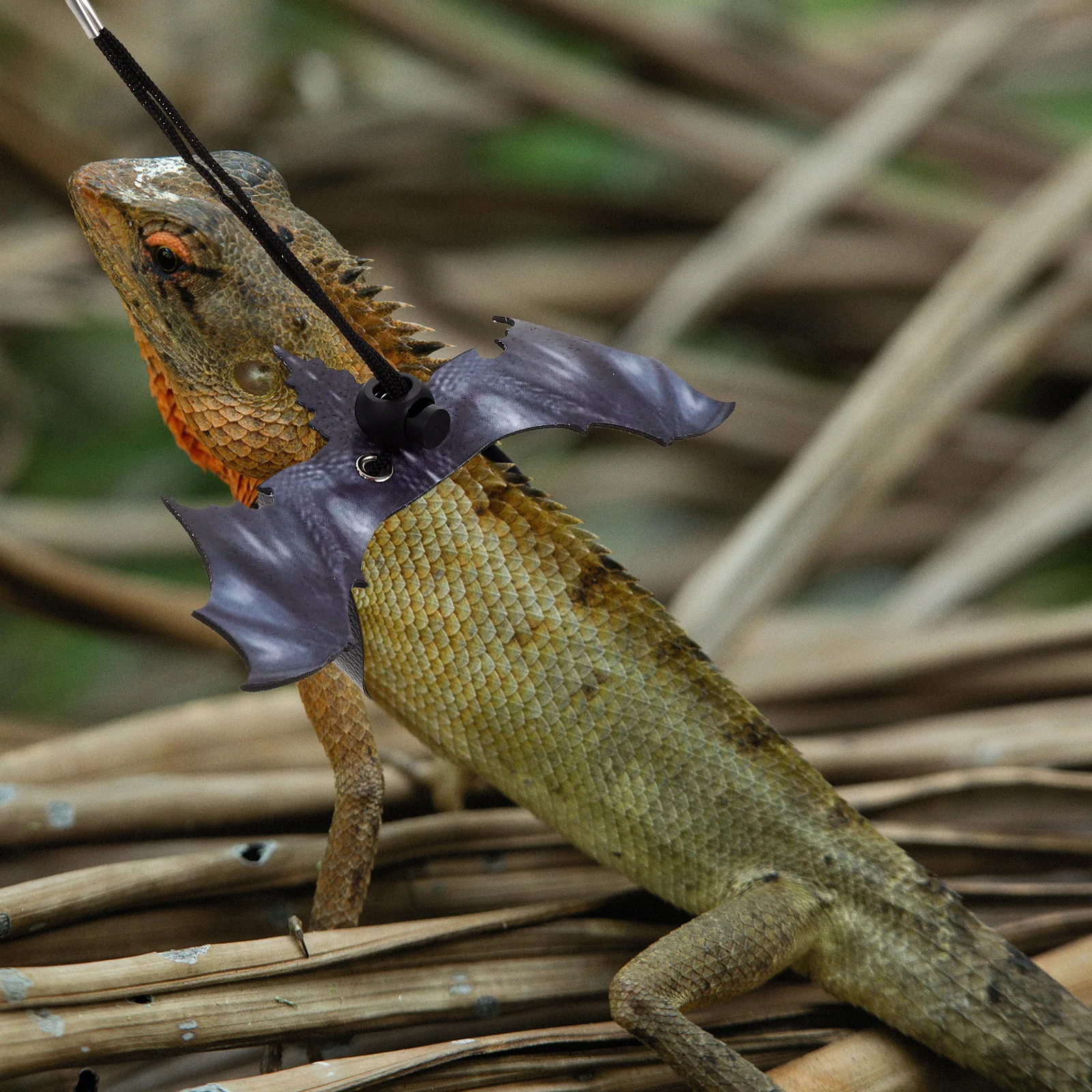 Little Pet Strap Reptile Traction Rope Comfortable Harness Lizards Harness Rope Cloth Walking Outdoor Supplies Lizard Hauling
Little Pet Strap Reptile Traction Rope Comfortable Harness Lizards Harness Rope Cloth Walking Outdoor Supplies Lizard Hauling
