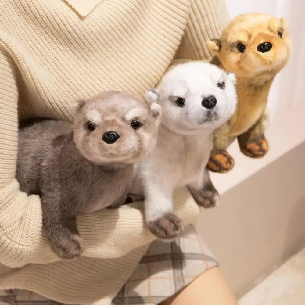 PP Cotton Brown Otter Plush Toy Soft Lifelike Chubby Otter Stuffed Animal Dolls Ins Cartoon Simulation Otter Toy Doll Kids Gifts
PP Cotton Brown Otter Plush Toy Soft Lifelike Chubby Otter Stuffed Animal Dolls Ins Cartoon Simulation Otter Toy Doll Kids Gifts