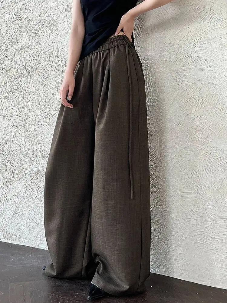 High Elastic Waist Coffee Bandage Brief Long Wide Leg Pants New Trousers Women Fashion Tide Spring Autumn
High Elastic Waist Coffee Bandage Brief Long Wide Leg Pants New Trousers Women Fashion Tide Spring Autumn