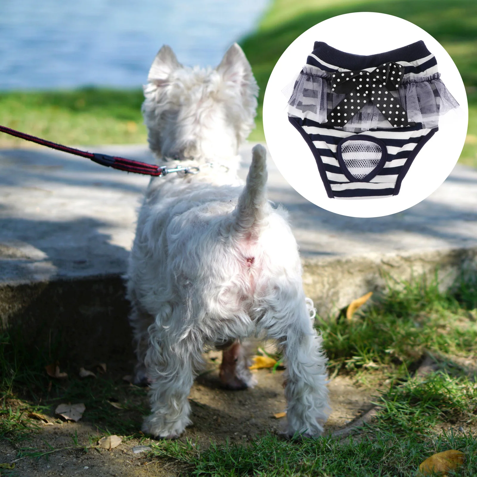 Pet Physiological Pants Dog Diaper Decorative Puppy Accessory Washable Navy Cotton Female Dog Use Avoid Stains
Pet Physiological Pants Dog Diaper Decorative Puppy Accessory Washable Navy Cotton Female Dog Use Avoid Stains