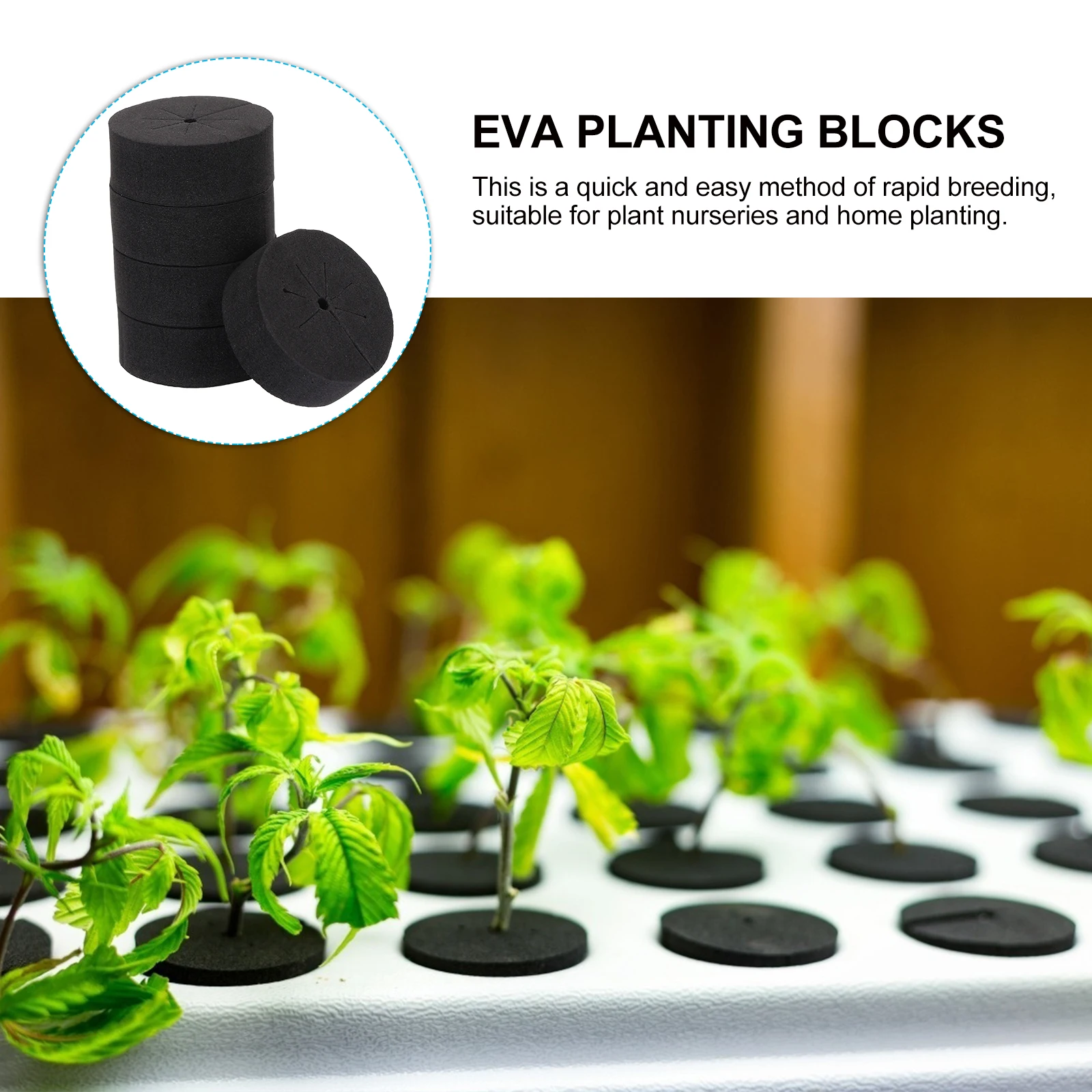 30 Pcs EVA Planting Blocks Cylinder Foam for Cultivation Soilless Gardening Nutrient Seedling Tray Breeding Foam 
30 Pcs EVA Planting Blocks Cylinder Foam for Cultivation Soilless Gardening Nutrient Seedling Tray Breeding Foam