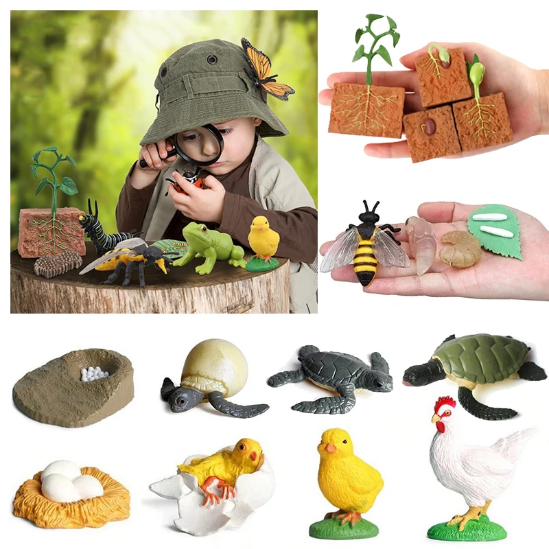 Simulated Animal Toys Growth Cycle Plastic Parent-child Education Puzzle Toy Honeybee Turtle Butterfly Model Animal Model TMZ
Simulated Animal Toys Growth Cycle Plastic Parent-child Education Puzzle Toy Honeybee Turtle Butterfly Model Animal Model TMZ
