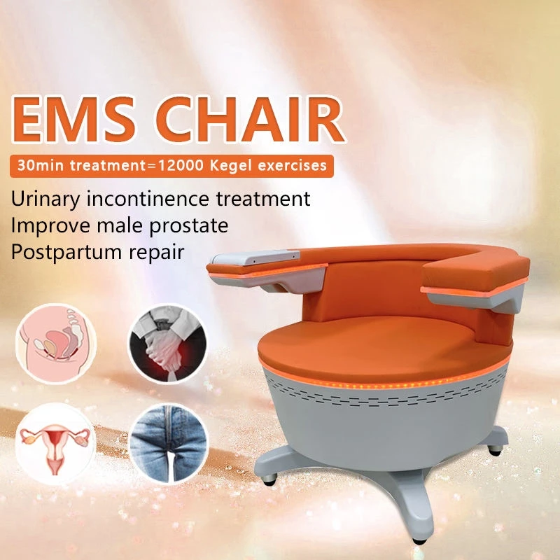 EMS Electromagnetic Non-Invasive Pelvic Floor Muscle Contracting Repair Chair Pelvic Floor Muscle Stimulator Exerciser Machine
EMS Electromagnetic Non-Invasive Pelvic Floor Muscle Contracting Repair Chair Pelvic Floor Muscle Stimulator Exerciser Machine