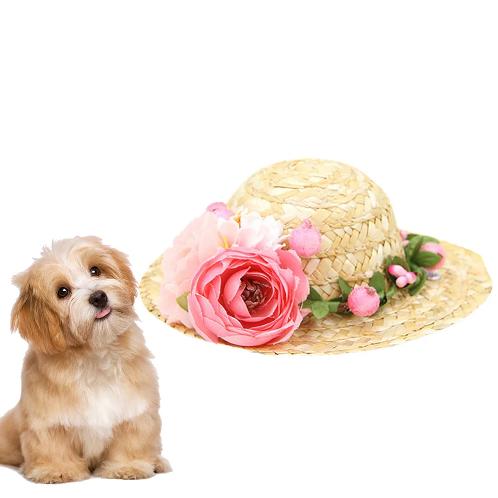 Dog Straw Hat Pink Daisy Size S Woven Pet Hat Soft Comfortable Flower Photo Prop for Daily Wear Party Photos Straw Woven Cap
Dog Straw Hat Pink Daisy Size S Woven Pet Hat Soft Comfortable Flower Photo Prop for Daily Wear Party Photos Straw Woven Cap
