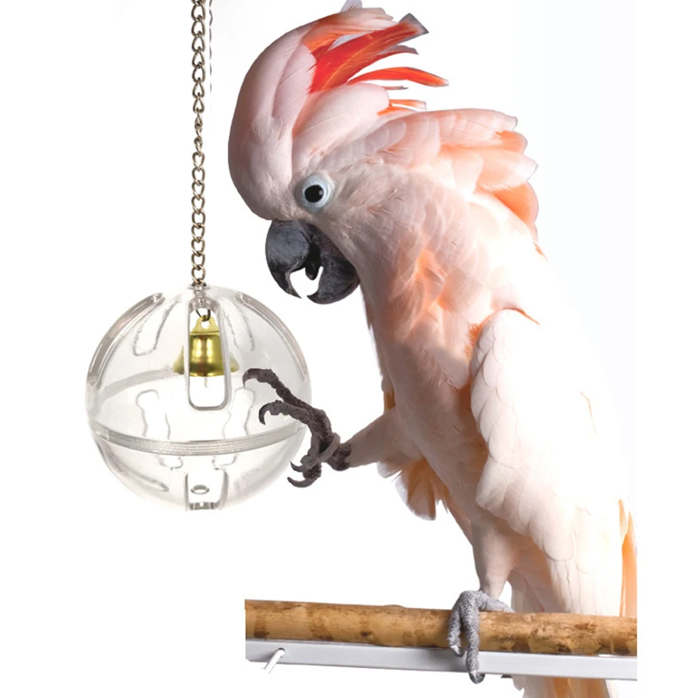 Forager Safe Parrot Feeder Educational The Bird Prevent Negative Behavior of Parrots Birds Foraging Transparent
Forager Safe Parrot Feeder Educational The Bird Prevent Negative Behavior of Parrots Birds Foraging Transparent