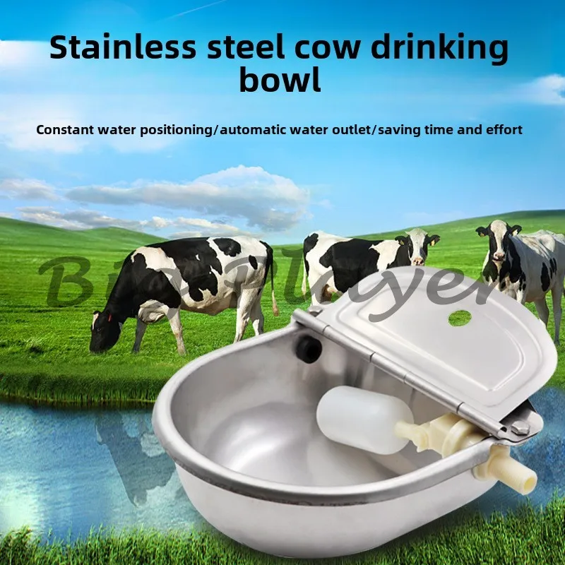 304 Stainless Steel Beef Drinking Bowl Beef and Sheep Float Type Drinking Tank Export Type Cattle Automatic Water Dispenser
304 Stainless Steel Beef Drinking Bowl Beef and Sheep Float Type Drinking Tank Export Type Cattle Automatic Water Dispenser