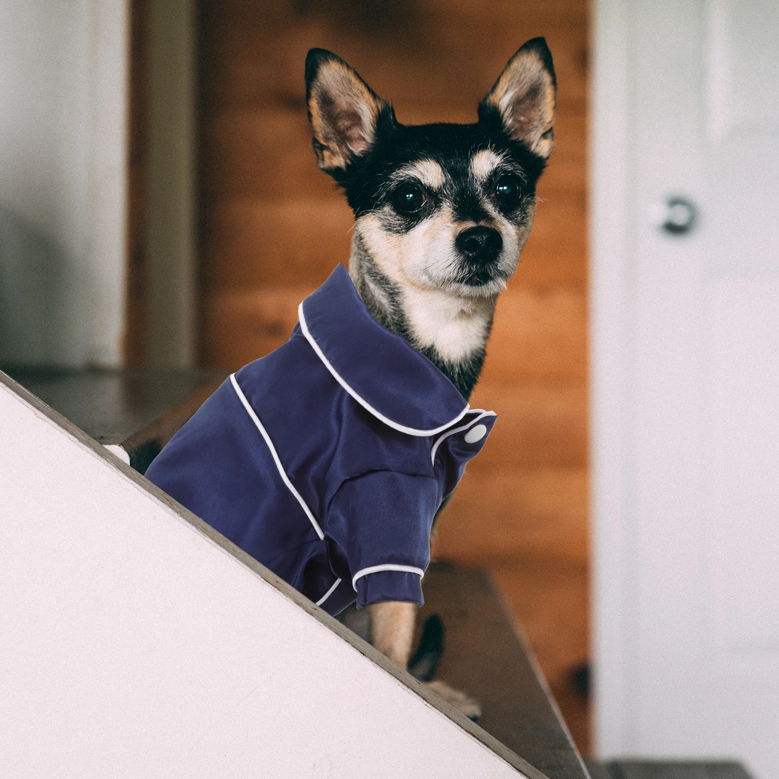 Dog Pajamas Lightweight Clothes Boy Girl Romper Daily Wear Special Occasions Puppy Outfits Grey Color Dog Vest
Dog Pajamas Lightweight Clothes Boy Girl Romper Daily Wear Special Occasions Puppy Outfits Grey Color Dog Vest
