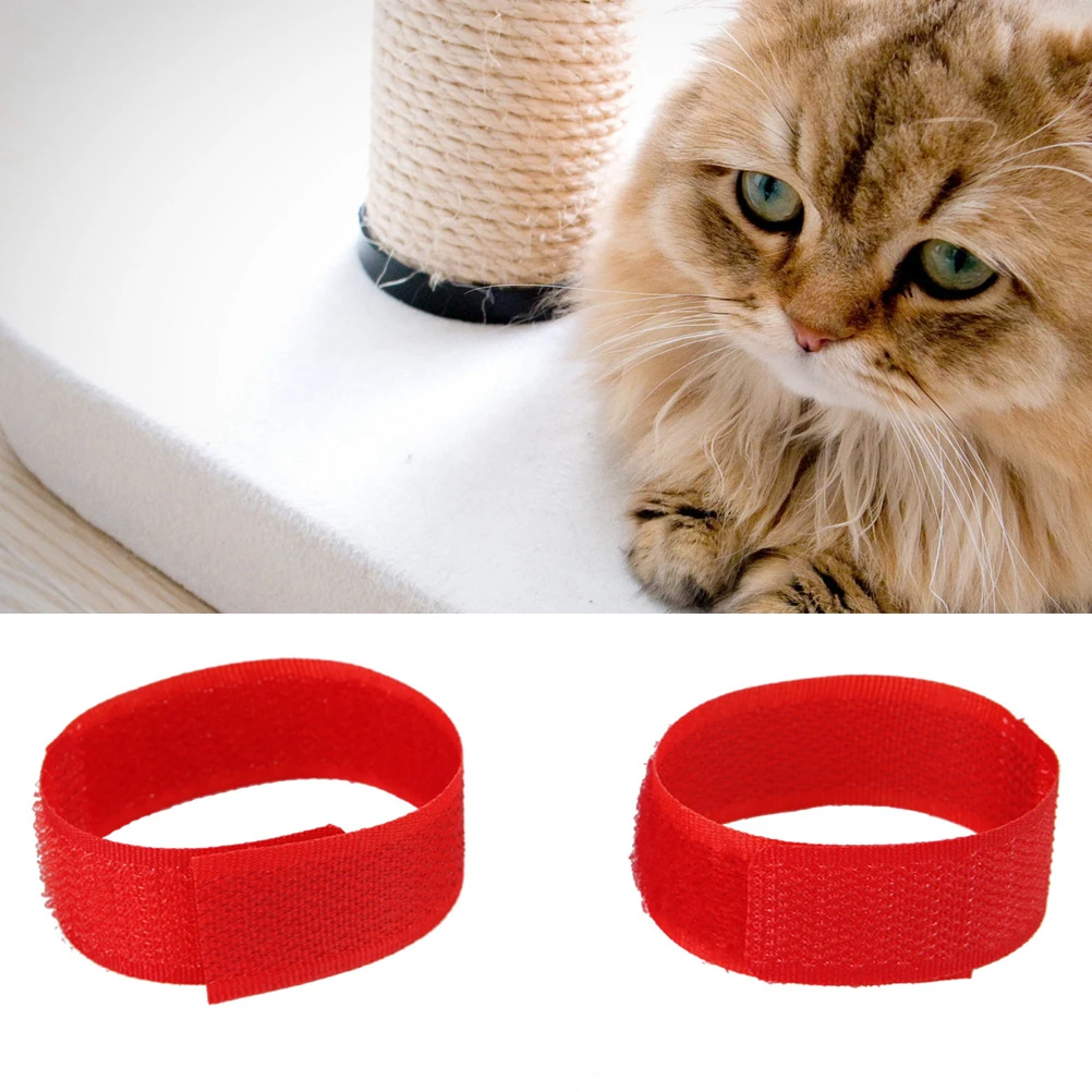 4pcs Pet Collar Chicken Collar Anti Crow Necklace For Rooster Noise Free Screaming Prevention Durable Nylon
4pcs Pet Collar Chicken Collar Anti Crow Necklace For Rooster Noise Free Screaming Prevention Durable Nylon