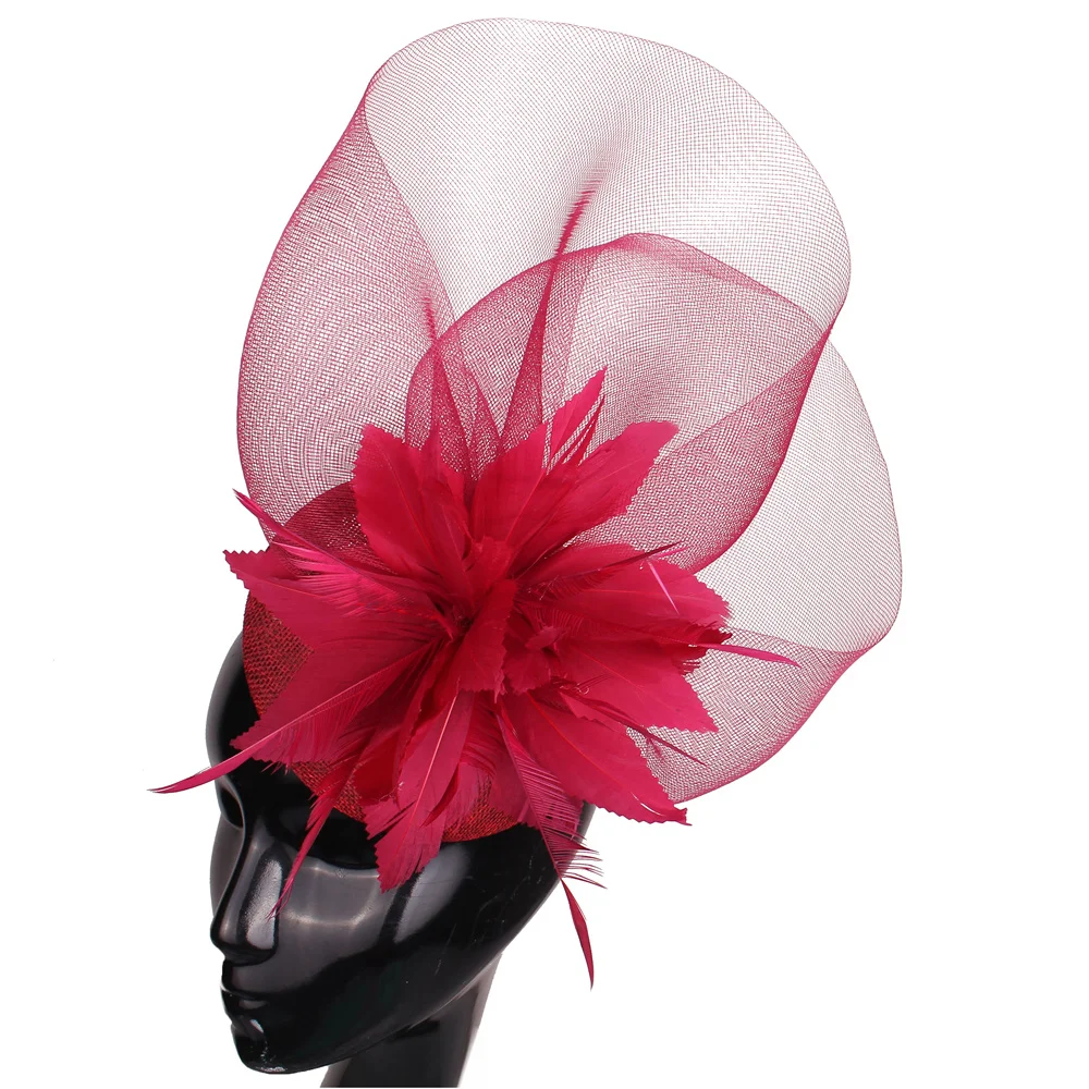 Women's Chic Mesh Fascinator Hat for women Fashionable Hair Accessories for Cocktail Wedding Party Church Bridal Headwear
Women's Chic Mesh Fascinator Hat for women Fashionable Hair Accessories for Cocktail Wedding Party Church Bridal Headwear