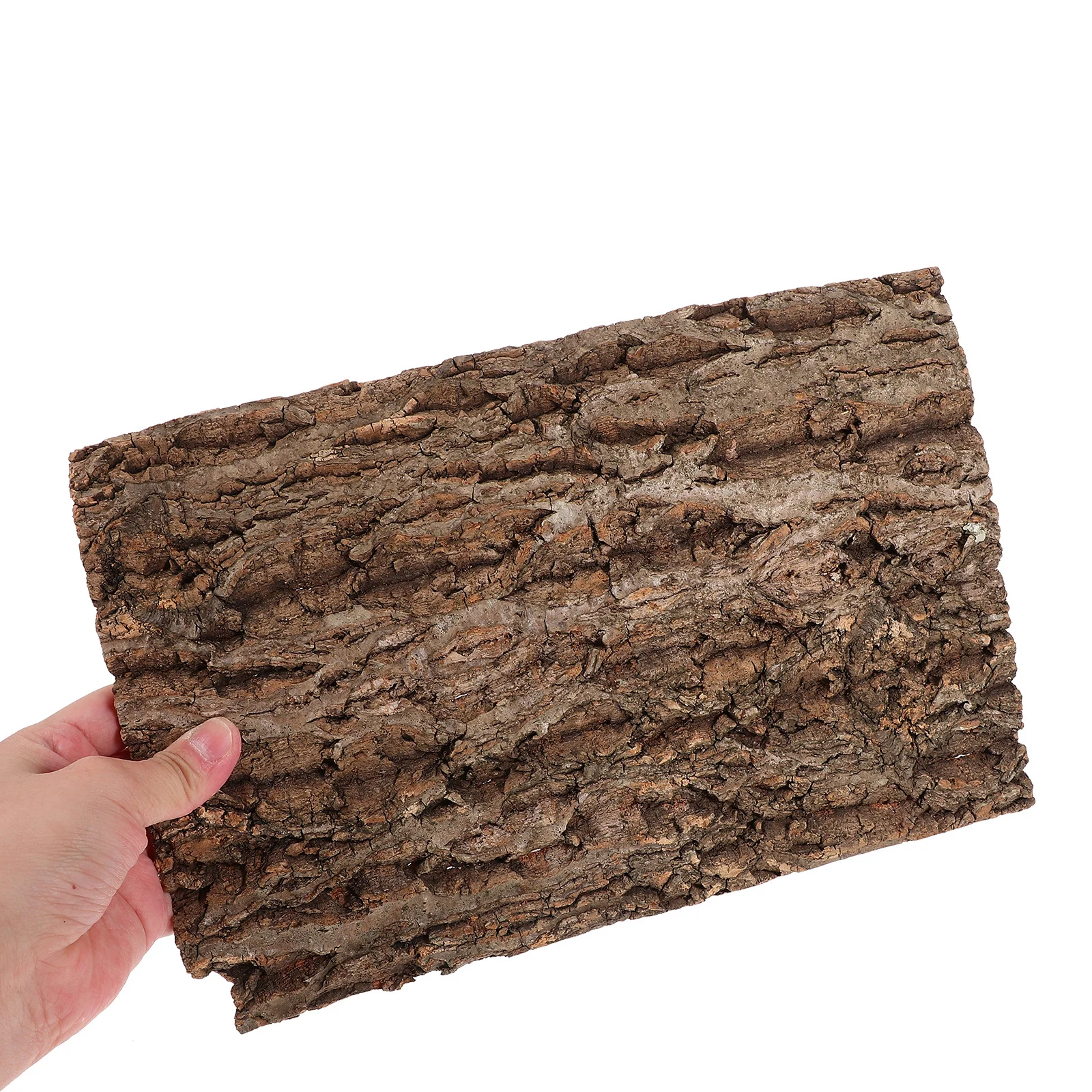 Bark Background Panel Lightweight Durable Natural Reptile Bark Terrarium Cork Decor Reptile Tank Supplies Tortoise Platform
Bark Background Panel Lightweight Durable Natural Reptile Bark Terrarium Cork Decor Reptile Tank Supplies Tortoise Platform