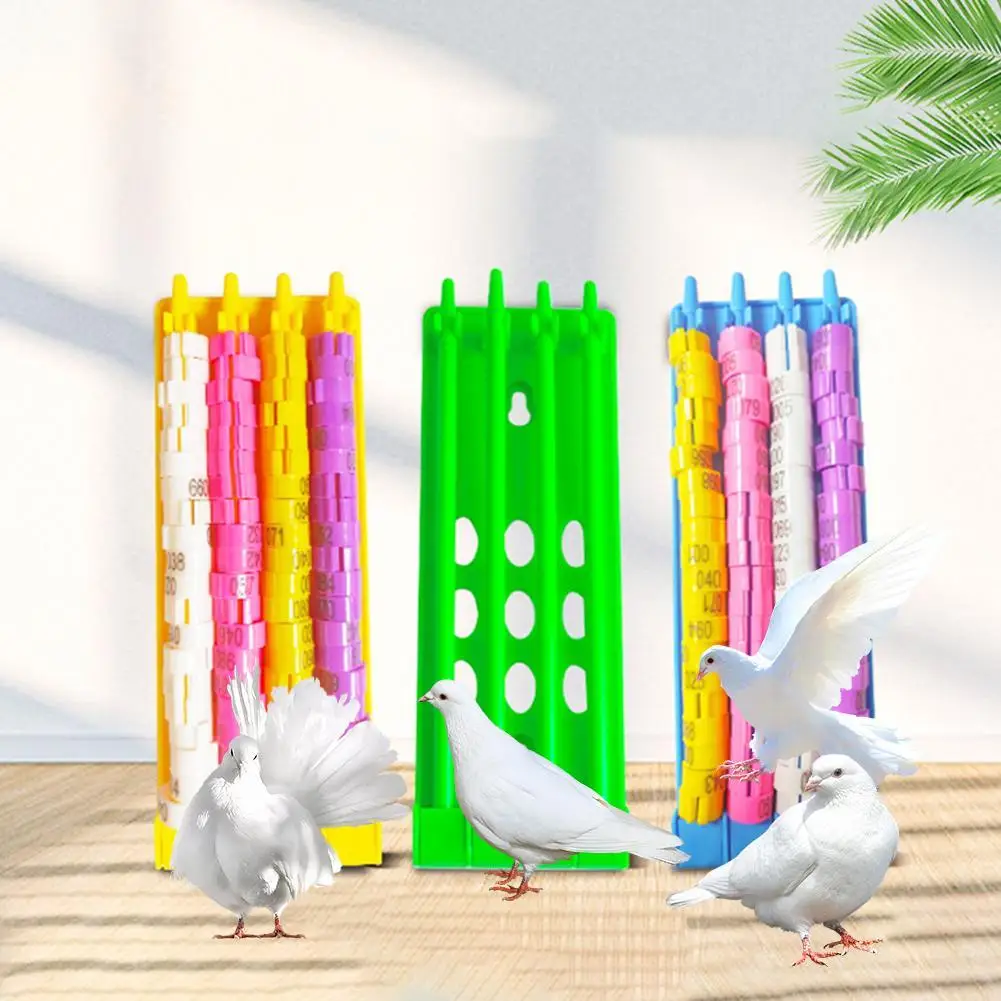 【 Ready stock 】Pigeon Foot Ring Holder 4 Rows Large Space Multicolor Hanging Foot Ring Stand Rack Bird Accessories
【 Ready stock 】Pigeon Foot Ring Holder 4 Rows Large Space Multicolor Hanging Foot Ring Stand Rack Bird Accessories