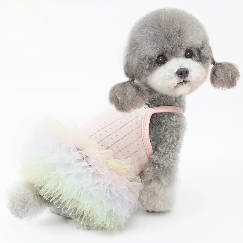 Cute Dog Lace Dress Kawaii Slip Dress For Small Dog Party Birthday Wedding Dress Puppy Costume for Pomeranian Teddy Yorkshire
Cute Dog Lace Dress Kawaii Slip Dress For Small Dog Party Birthday Wedding Dress Puppy Costume for Pomeranian Teddy Yorkshire