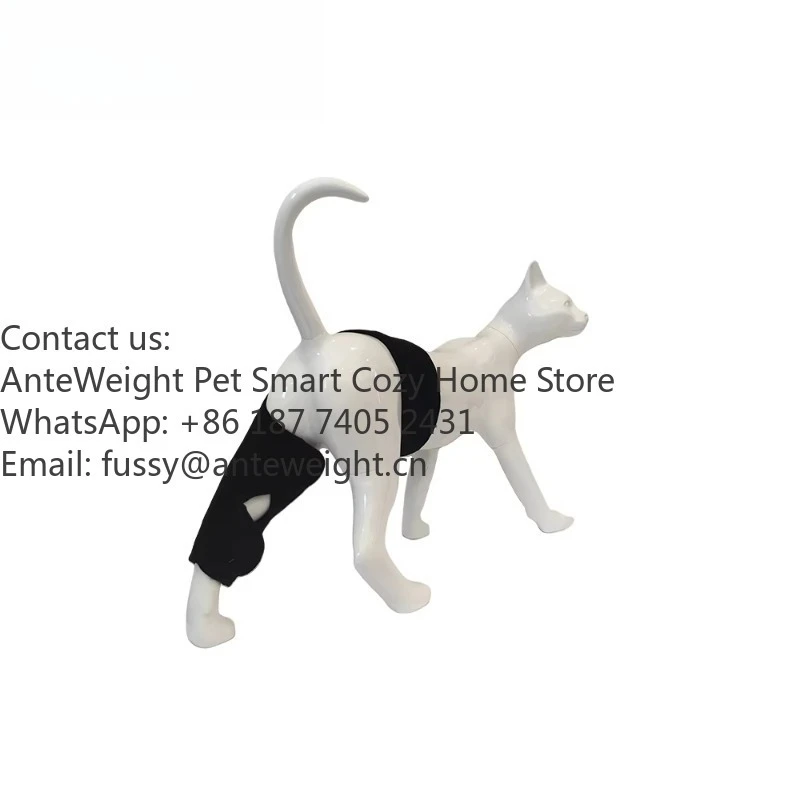 Pulse Wireless Infrared Dog&Cat Leg Wrap Veterinary 660nm 850nm Animal Pain Relief Therapy Red Light Therapy for Pet Leg
Pulse Wireless Infrared Dog&Cat Leg Wrap Veterinary 660nm 850nm Animal Pain Relief Therapy Red Light Therapy for Pet Leg