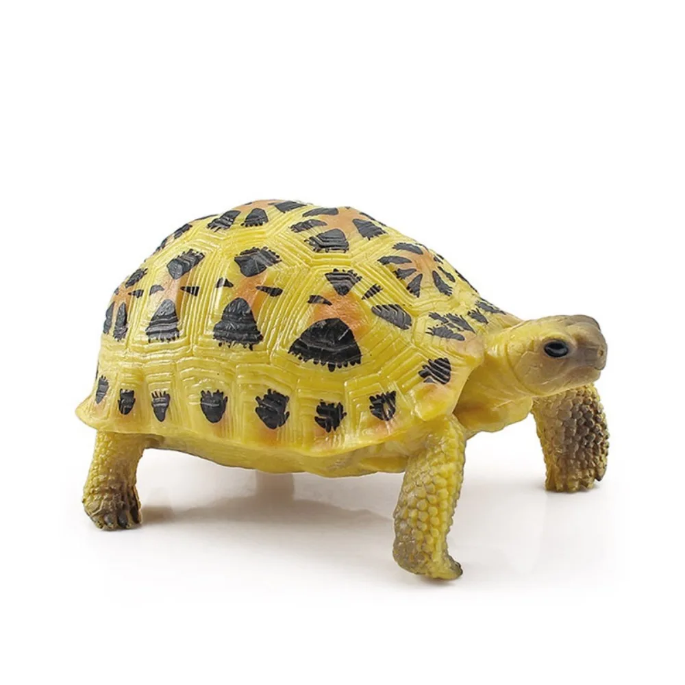 Leatherback Tortoise Turtle Action Figures Simulation Hand Painted Sea Turtle Model Educational Realistic
Leatherback Tortoise Turtle Action Figures Simulation Hand Painted Sea Turtle Model Educational Realistic