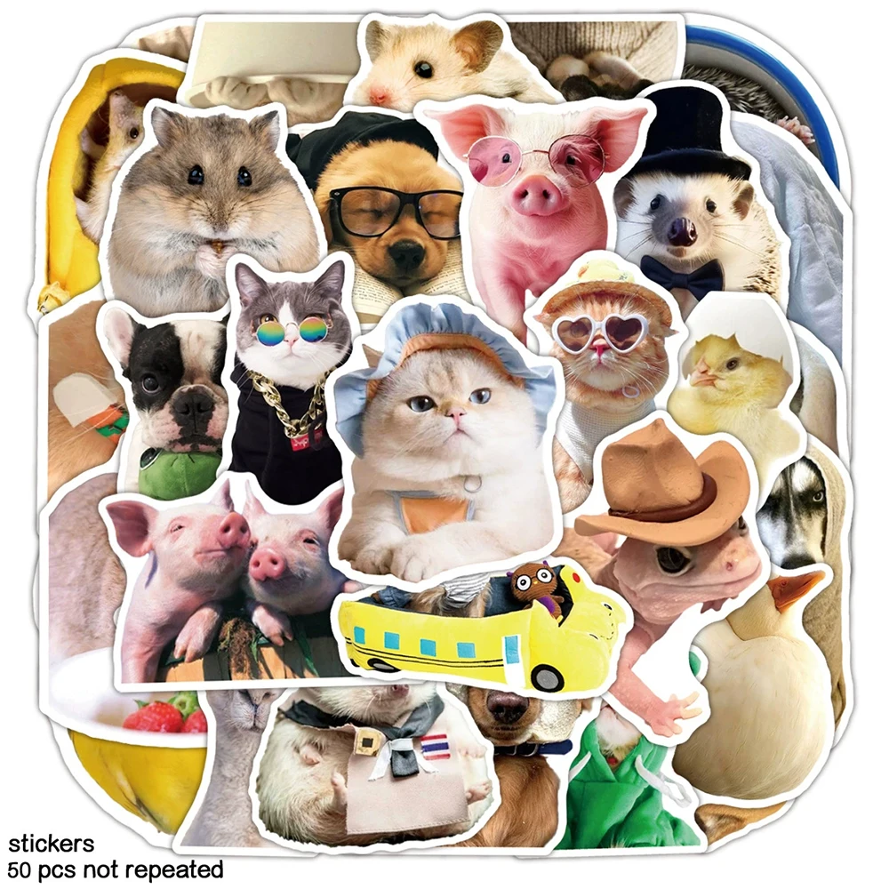10/30/50pcs Cute Cartoon Mix Animals Meme Stickers Funny Expression Decals Notebook Phone Skateboard Waterproof Graffiti Sticker
10/30/50pcs Cute Cartoon Mix Animals Meme Stickers Funny Expression Decals Notebook Phone Skateboard Waterproof Graffiti Sticker