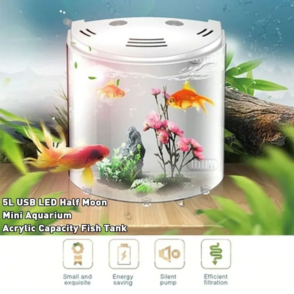 Mini Smart Aquarium Bedroom Office Decoration High Transparency Fish Tank 5V USB Desktop Aquarium with LED Light and Filter
Mini Smart Aquarium Bedroom Office Decoration High Transparency Fish Tank 5V USB Desktop Aquarium with LED Light and Filter
