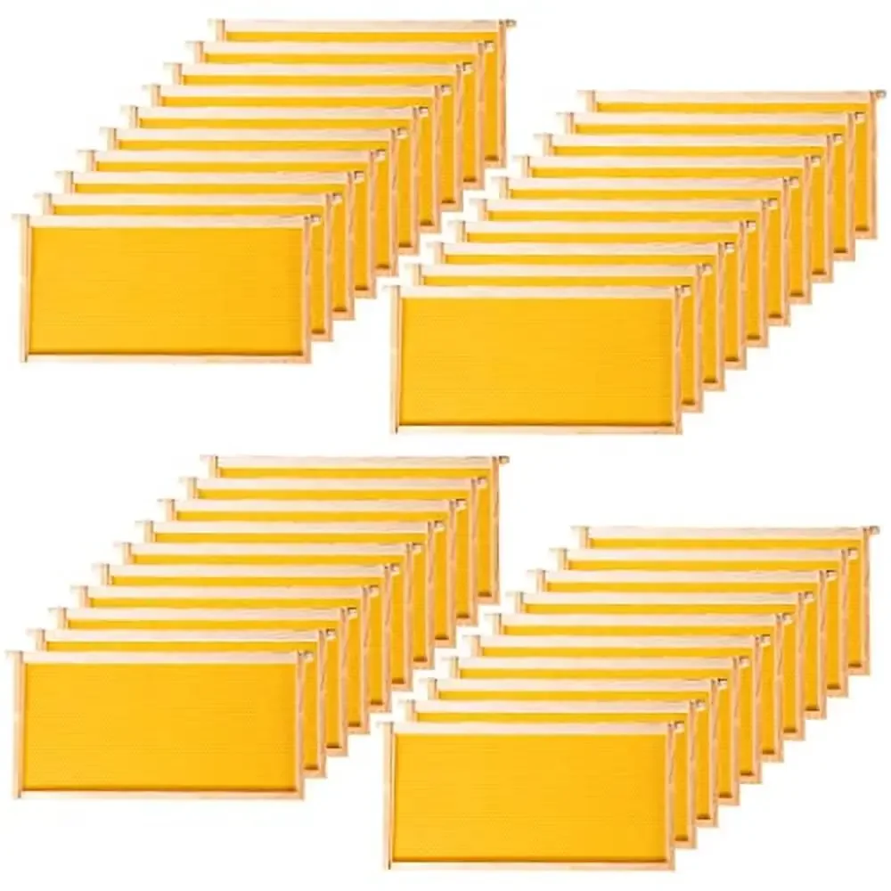 40-Pack Unassembled Beehive Frames with Waxed Foundation Sheet Beehive 9-1/8-Inch Yellow High Precision Cuts Standard Width
40-Pack Unassembled Beehive Frames with Waxed Foundation Sheet Beehive 9-1/8-Inch Yellow High Precision Cuts Standard Width