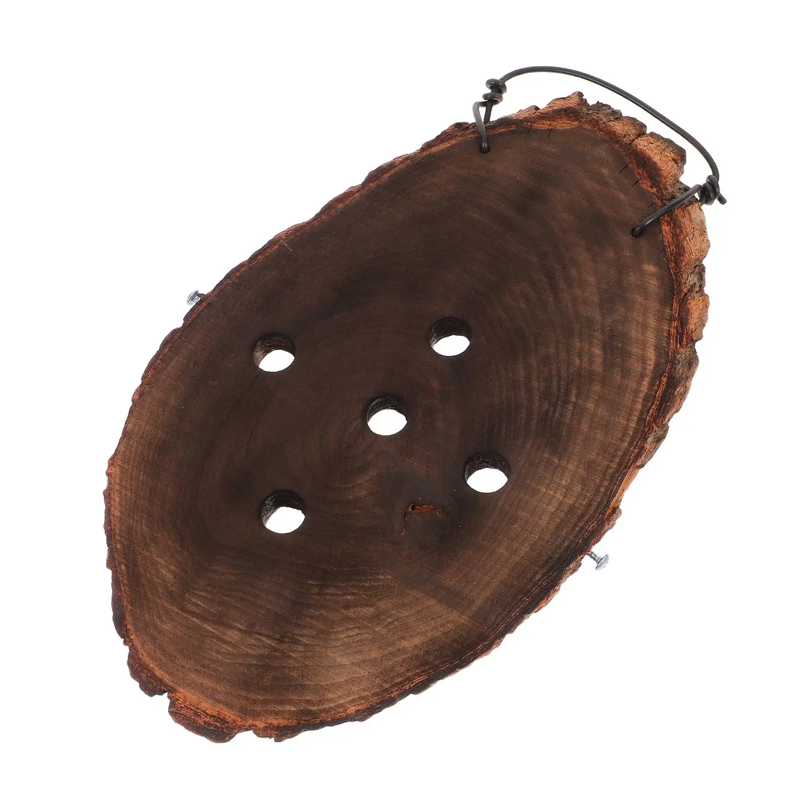 Solid Wood Planting Board Staghorn Fern Tool Wall Mounted Hanging Planter for Ferns Succulent Vertical Planter
Solid Wood Planting Board Staghorn Fern Tool Wall Mounted Hanging Planter for Ferns Succulent Vertical Planter