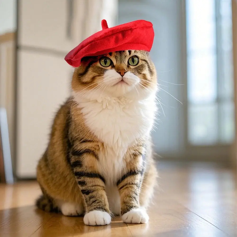 Durable Cute Cat Beret Hat Fashionable Red Black Cat Dog Caps Comfortable Breathable Pet Headwear For Cat Dog
Durable Cute Cat Beret Hat Fashionable Red Black Cat Dog Caps Comfortable Breathable Pet Headwear For Cat Dog