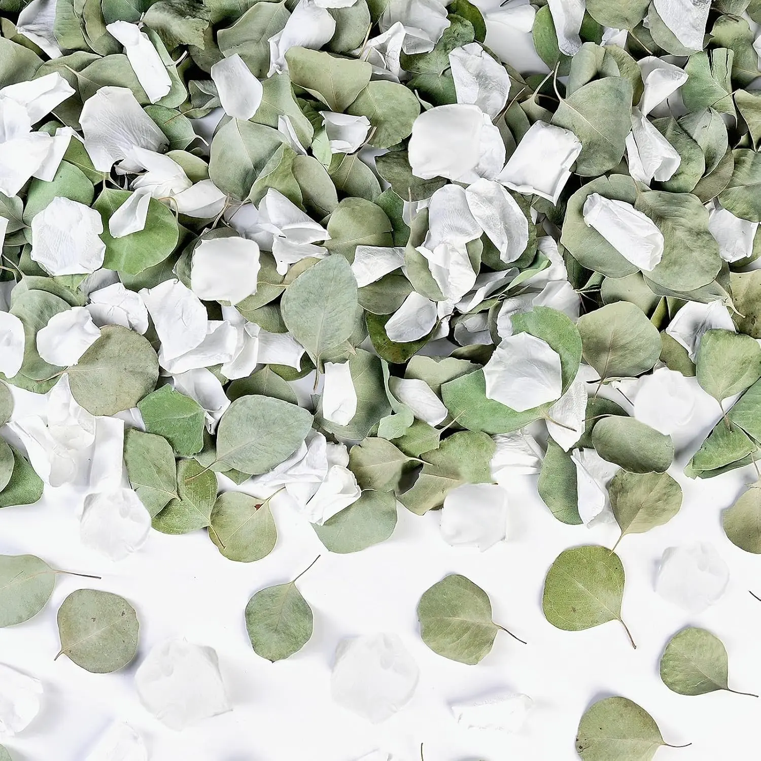 Real White Rose Petals & Natural Eucalyptus Leaves 2.12oz, Freeze Dried Flower Confetti for Wedding Aisle Table Centerpieces
Real White Rose Petals & Natural Eucalyptus Leaves 2.12oz, Freeze Dried Flower Confetti for Wedding Aisle Table Centerpieces