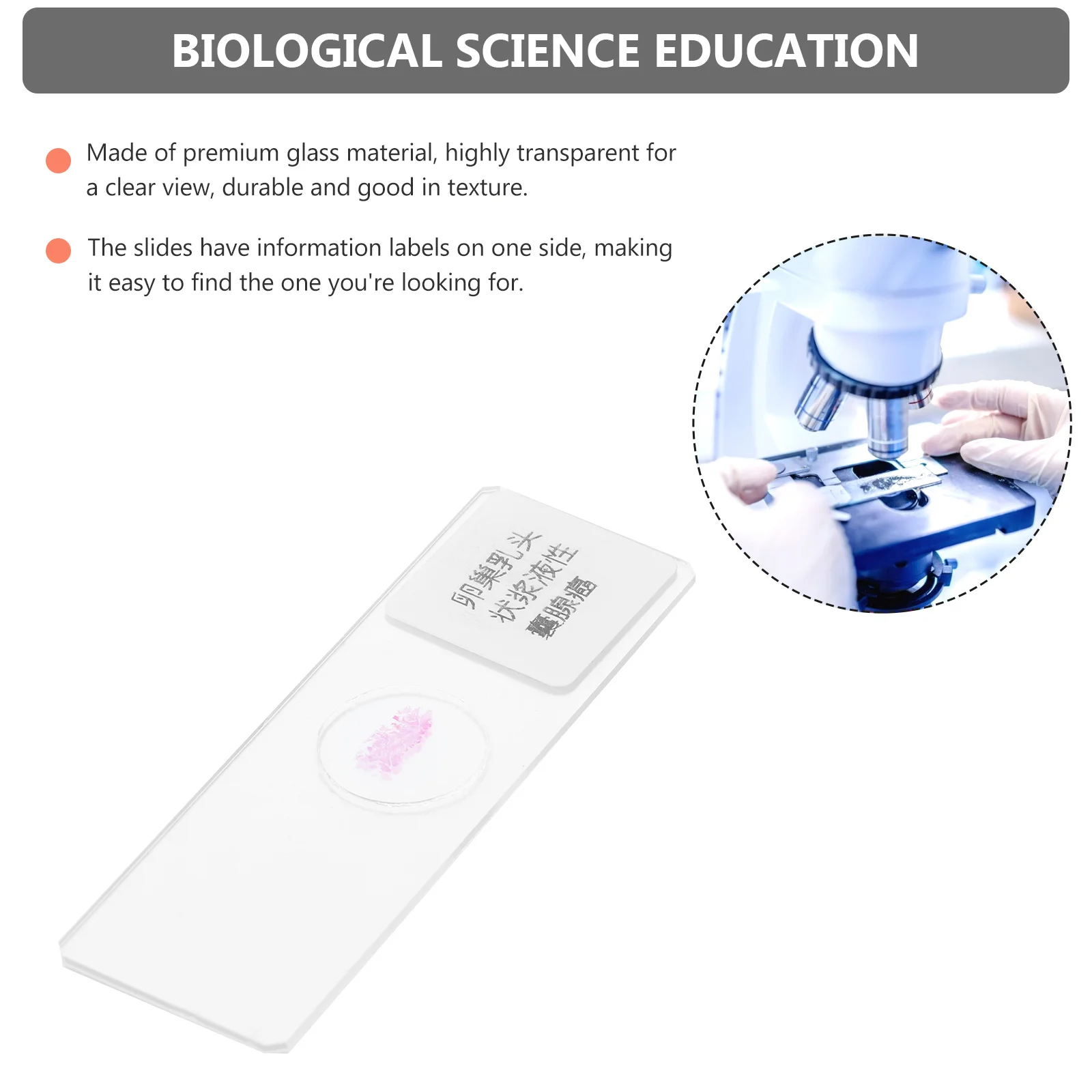 1Pcs Prepared Microscope Slide Glass Premium Transparent Durable Specimen Slide for Biology Education Pathology Study
1Pcs Prepared Microscope Slide Glass Premium Transparent Durable Specimen Slide for Biology Education Pathology Study