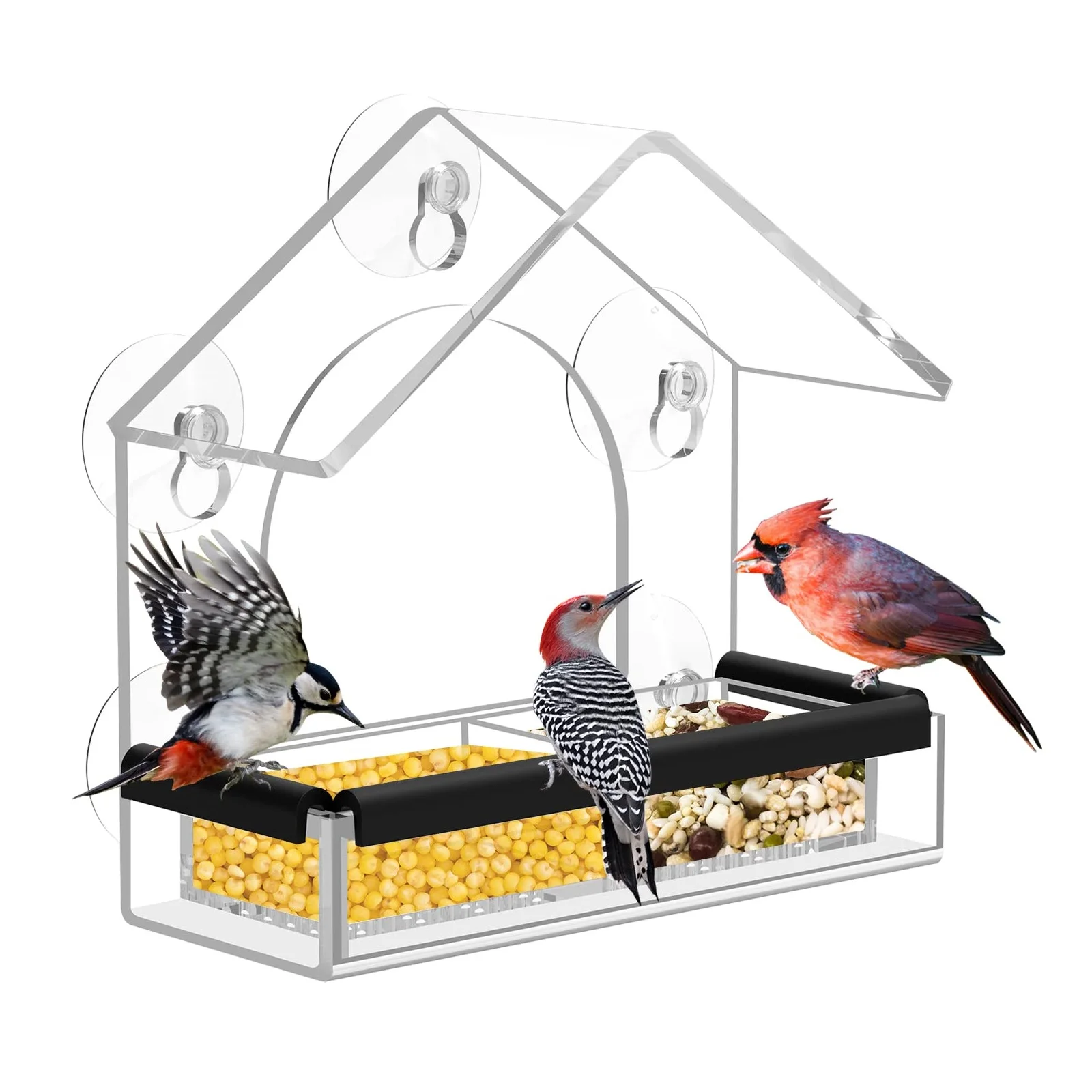 Outdoor Transparent Bird House Clear Acrylic Window Bird Feeder for Wild Birds Finch Cardinal Bluebird
Outdoor Transparent Bird House Clear Acrylic Window Bird Feeder for Wild Birds Finch Cardinal Bluebird