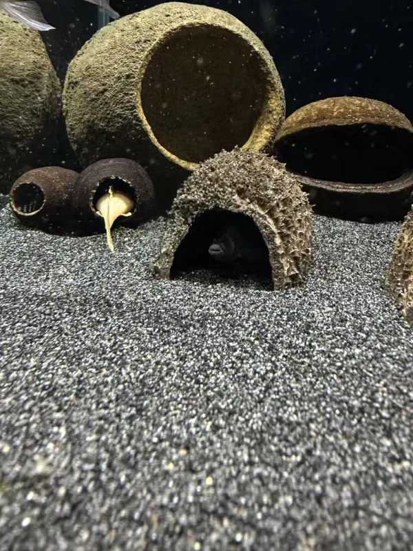 South American Aquarium Sand Fi Tank Bot Sand Decorative l Material Small to Large Fi Tank Size Suitable
South American Aquarium Sand Fi Tank Bot Sand Decorative l Material Small to Large Fi Tank Size Suitable