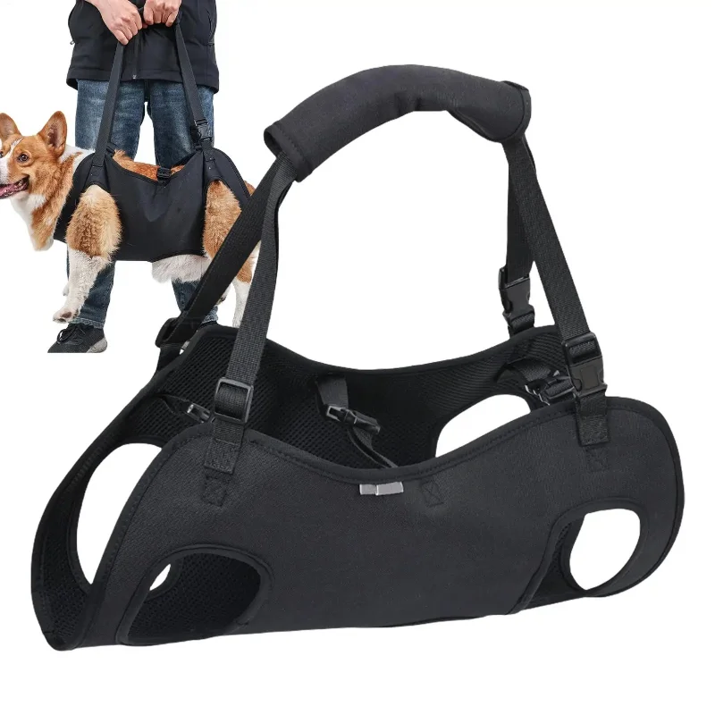 Injured Dog Carrying Harness Walking Support Belt Rehabilitation Lift Vest Senior Dogs Outdoor Walkies Adjustable Carry Up Strap
Injured Dog Carrying Harness Walking Support Belt Rehabilitation Lift Vest Senior Dogs Outdoor Walkies Adjustable Carry Up Strap