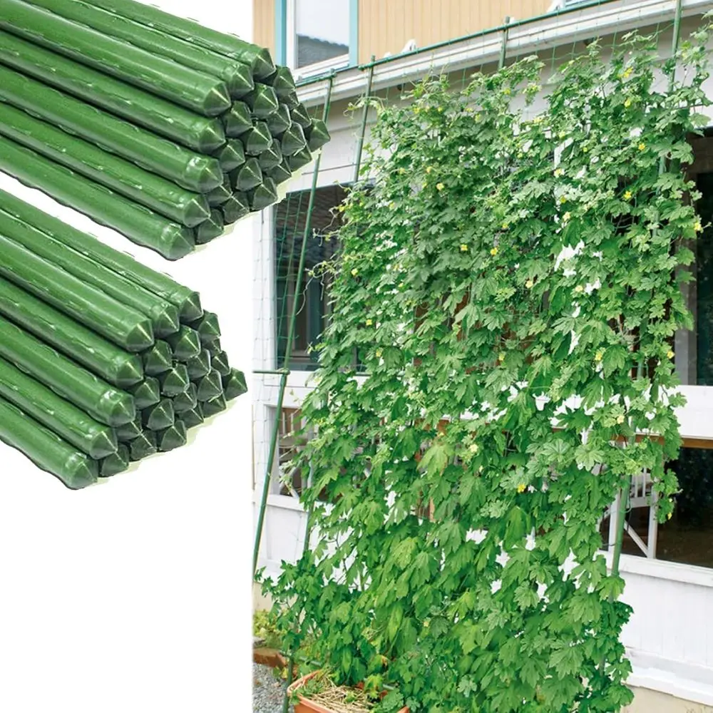 Набор из 50 металлических садовых кольев для огурцов, винограда и приподнятых растений, высота 120 см, толщина 20 мм.
Набор из 50 металлических садовых кольев для огурцов, винограда и приподнятых растений, высота 120 см, толщина 20 мм.