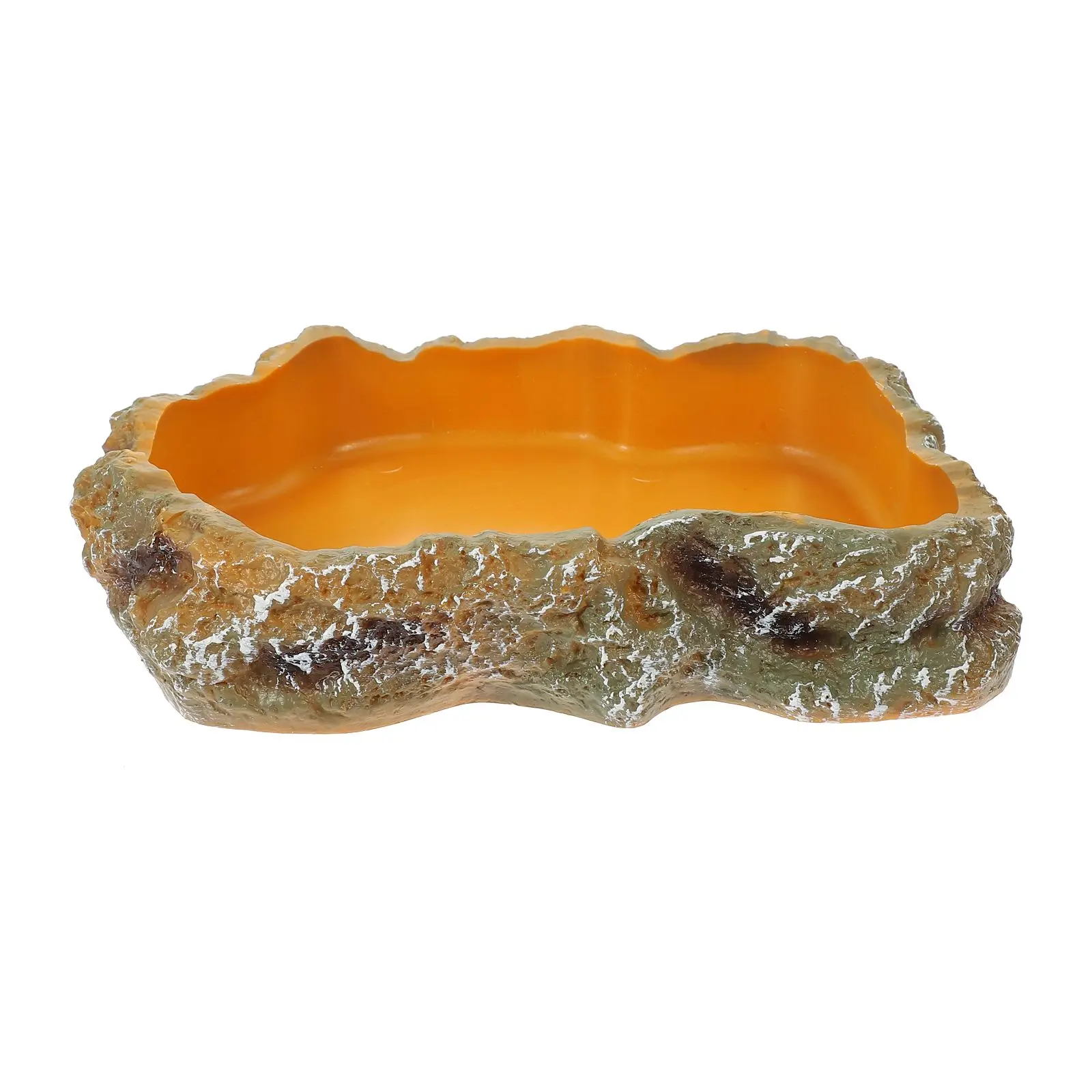 Pet Reptile Feeding Supplies Bowl for Lizards Snakes Turtles Resin Water Dish Decor Reptile Accessories
Pet Reptile Feeding Supplies Bowl for Lizards Snakes Turtles Resin Water Dish Decor Reptile Accessories