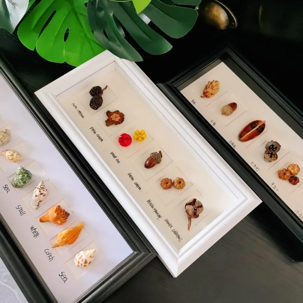Nordic Style Wooden DIY Handmade 10 Grids 6 Holes Insect Plant Fruit Specimen Hollow Display Picture Frame Home Decor
Nordic Style Wooden DIY Handmade 10 Grids 6 Holes Insect Plant Fruit Specimen Hollow Display Picture Frame Home Decor