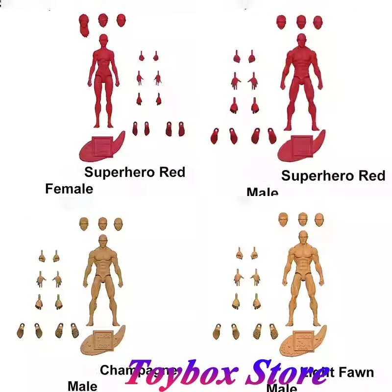 Boss Fight Studio BFS 1/18 VIRTUVIAN HACKS Человек Женский Скелет Солдат Модель тела Серый Шампань Красный 3,75 дюйма Фигурка
Boss Fight Studio BFS 1/18 VIRTUVIAN HACKS Человек Женский Скелет Солдат Модель тела Серый Шампань Красный 3,75 дюйма Фигурка