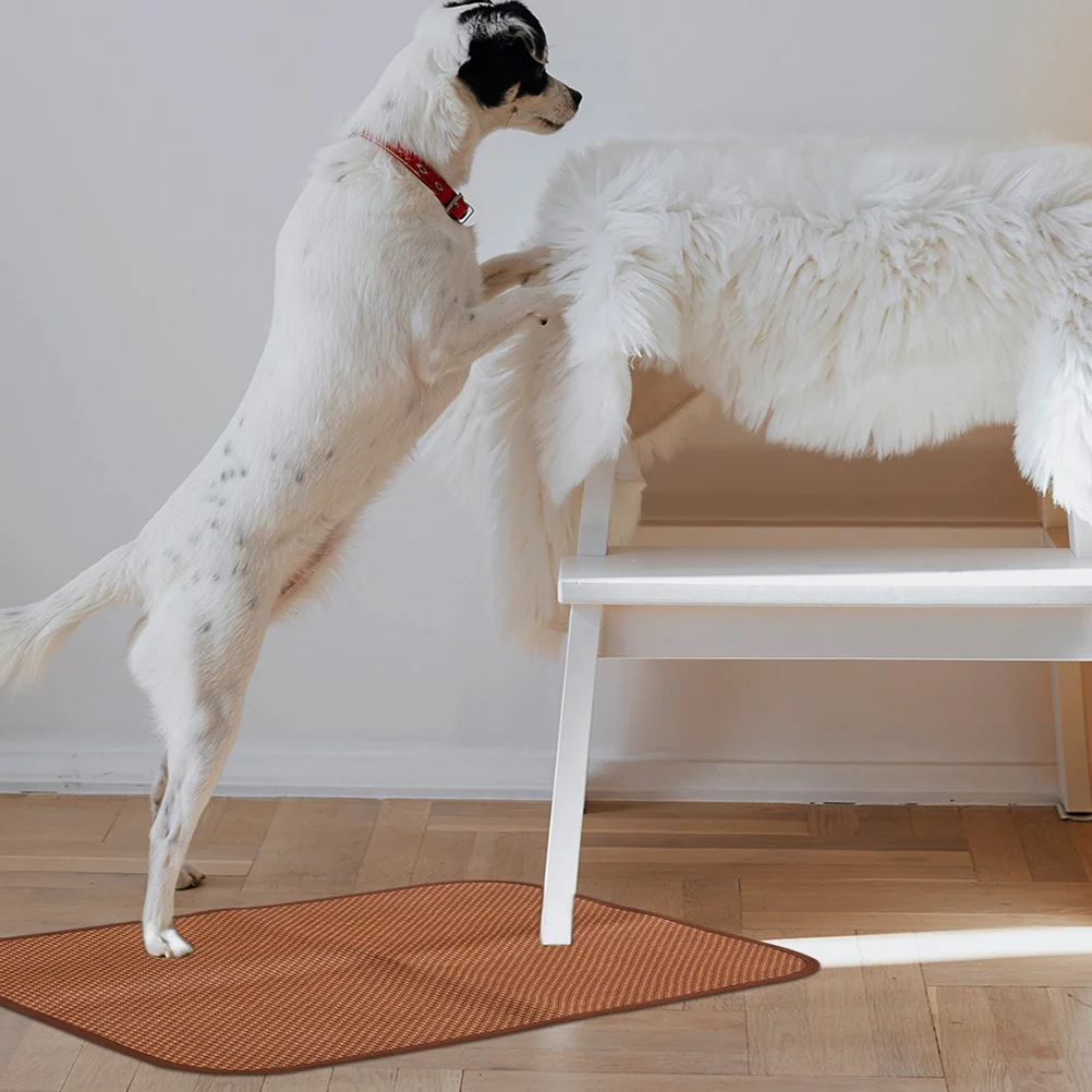 2pcs Dog Kennel Cooling Breathable Summer Pet Sleeping Durable Comfortable Bedding Easy Care Coffee Color Pet Summer Mat Dog
2pcs Dog Kennel Cooling Breathable Summer Pet Sleeping Durable Comfortable Bedding Easy Care Coffee Color Pet Summer Mat Dog