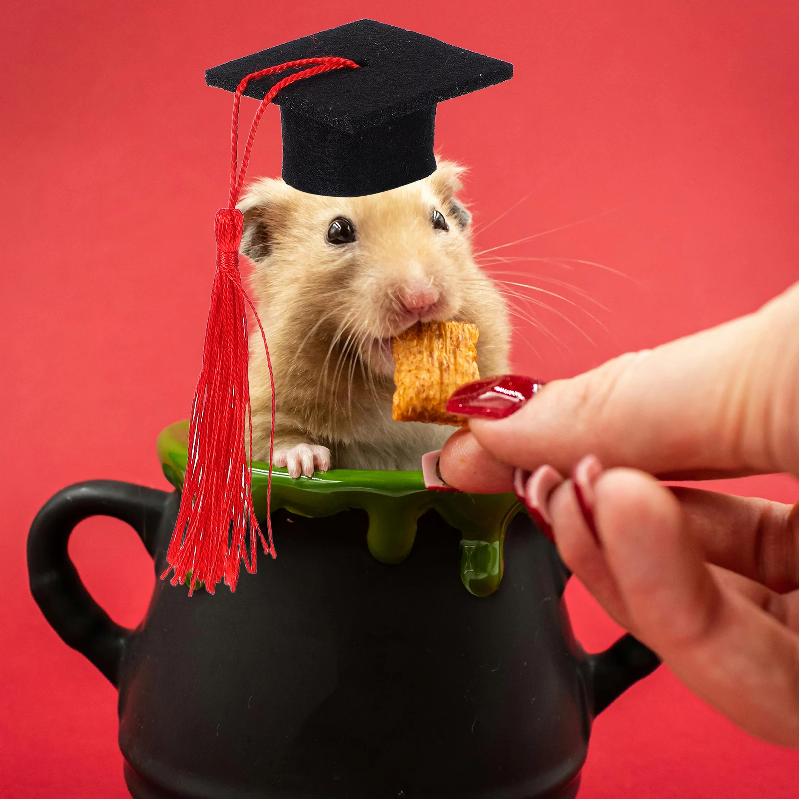 Hamster Graduation Durable Canvas Cute Pet Hat Lightweight Easy Wear Small Small Animals Cute Tiny Hat Animals Photo Props
Hamster Graduation Durable Canvas Cute Pet Hat Lightweight Easy Wear Small Small Animals Cute Tiny Hat Animals Photo Props