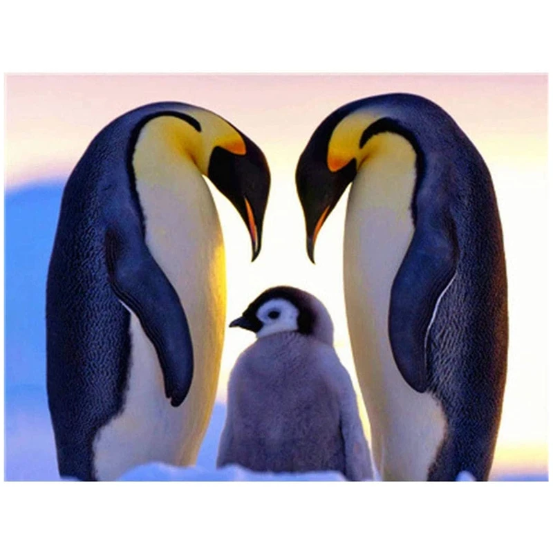 MLGB-Diamond Painting Full Drill Kits For Adults Full Drill Rhinestone Arts Craft For Home Wall Decor Penguin Dancing
MLGB-Diamond Painting Full Drill Kits For Adults Full Drill Rhinestone Arts Craft For Home Wall Decor Penguin Dancing