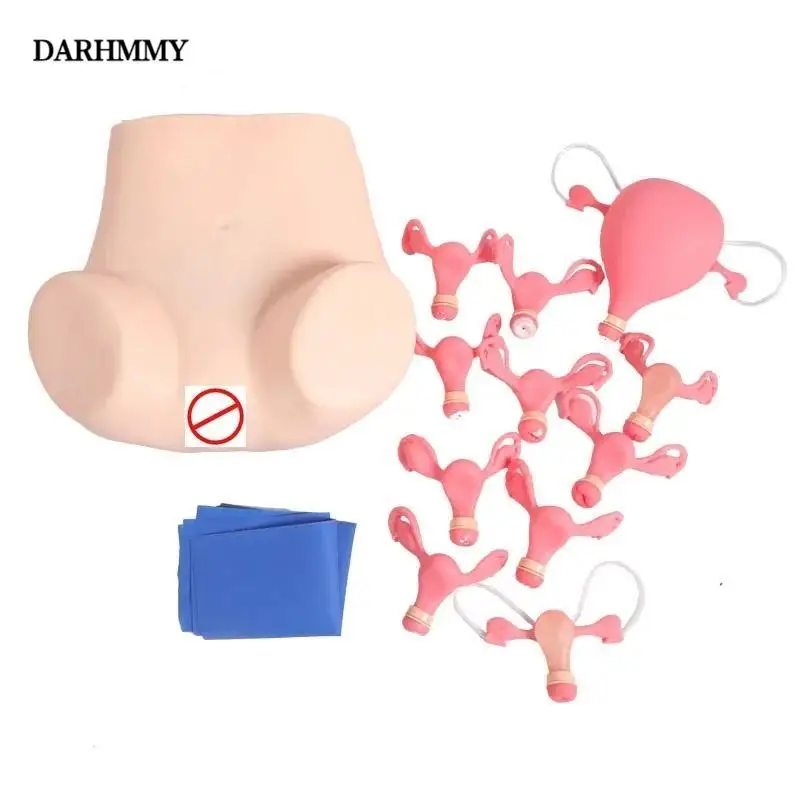 DARHMMY Gynecological Examination Model Gynecology Medical Practice Traning Model
DARHMMY Gynecological Examination Model Gynecology Medical Practice Traning Model