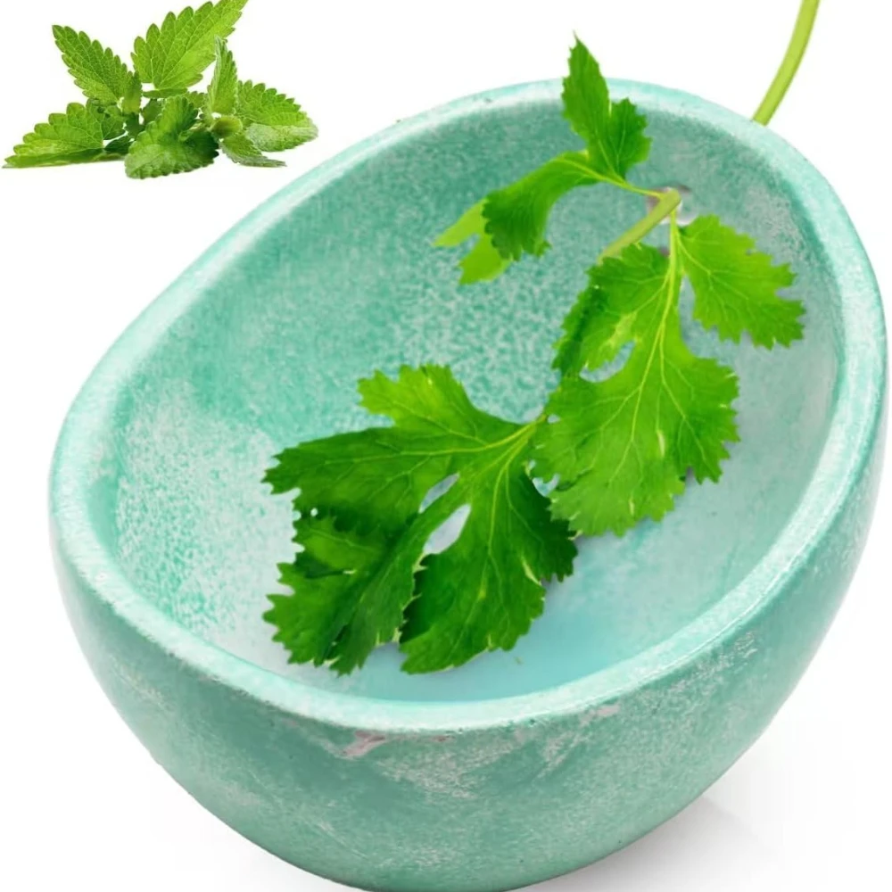 New Handmade Ceramic Herb Stripper Bowl Herb Stripping Bowl Efficient Herb Peeling Cup for Salads & Cooking Pottery Kitchen Tool
New Handmade Ceramic Herb Stripper Bowl Herb Stripping Bowl Efficient Herb Peeling Cup for Salads & Cooking Pottery Kitchen Tool