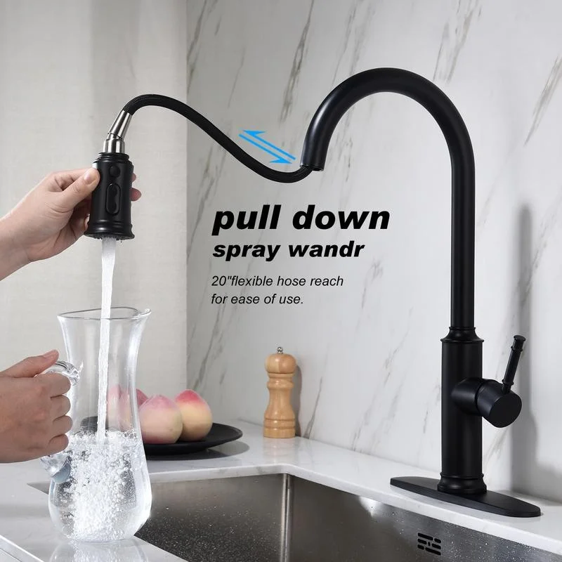 Pull Out Kitchen Faucet with Spray Head
Pull Out Kitchen Faucet with Spray Head