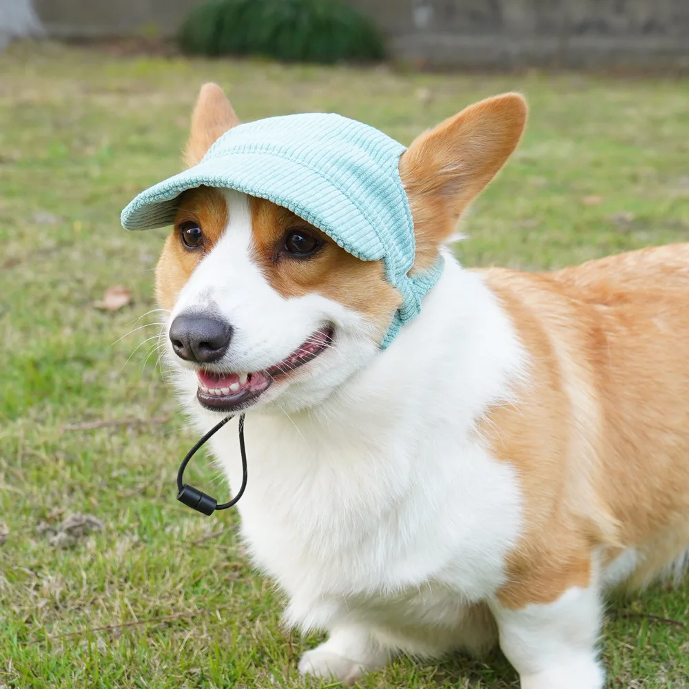 Dog Hat Dog Baseball Cap Sun Protection Outdoor Sports Hat Headwear Dog Hat Cap With Ear Holes Adjustable
Dog Hat Dog Baseball Cap Sun Protection Outdoor Sports Hat Headwear Dog Hat Cap With Ear Holes Adjustable
