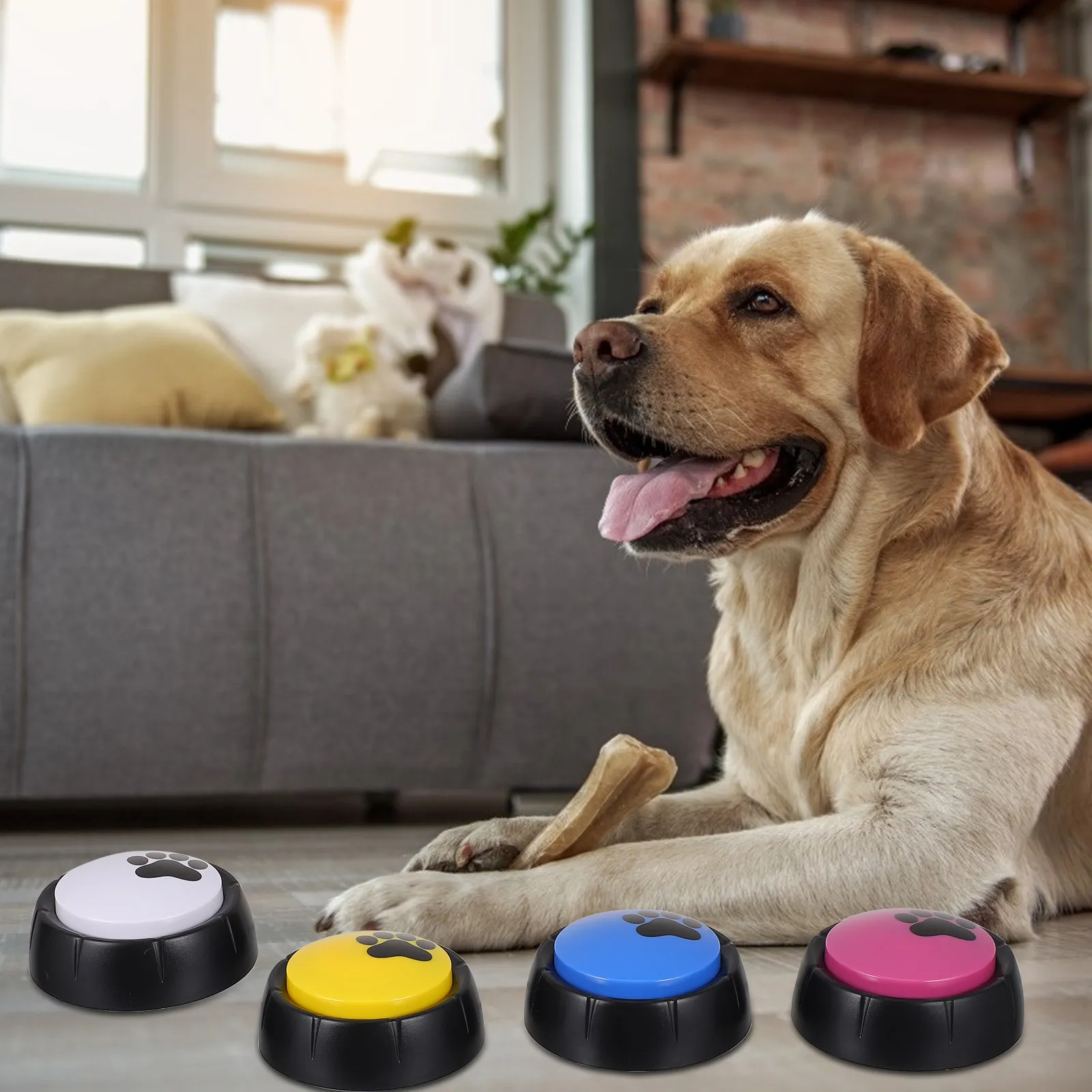 4Pcs Pet Communication Button Round Claw Design Bright Color for Training Interactive Play ABS Sound Device
4Pcs Pet Communication Button Round Claw Design Bright Color for Training Interactive Play ABS Sound Device