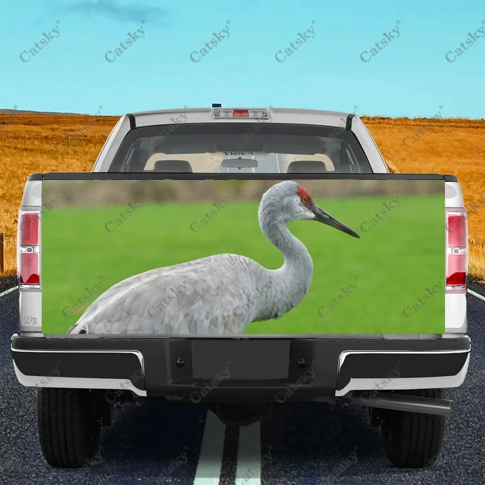 Red-crowned Crane Car Tail Trunk Protect Vinly Wrap Sticker Decal Car Accessories Decoration Sticker for SUV Off-road Pickup
Red-crowned Crane Car Tail Trunk Protect Vinly Wrap Sticker Decal Car Accessories Decoration Sticker for SUV Off-road Pickup