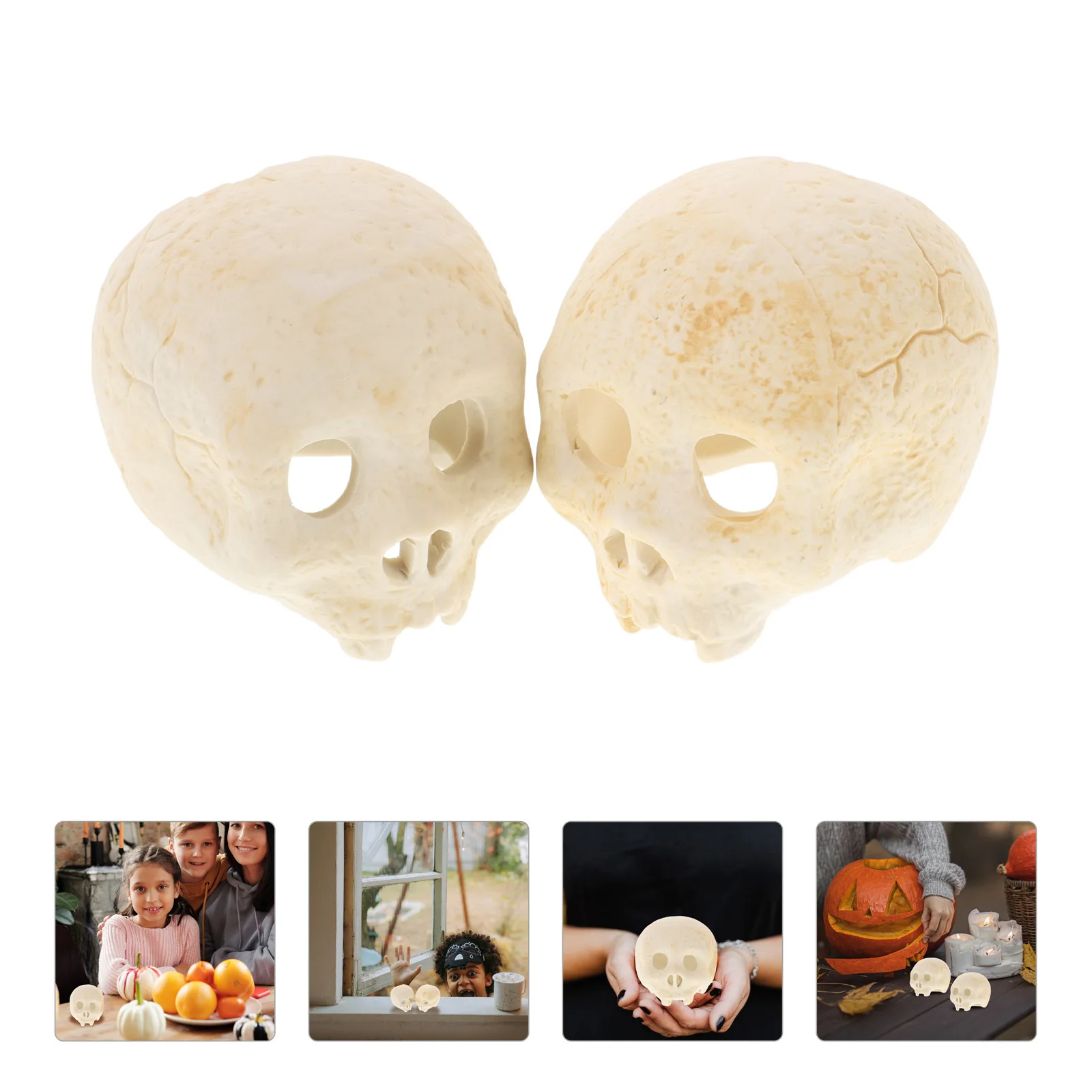 2Pcs Realistic Skull Decor Artificial for Halloween Spooky Party Creepy Ambience Haunted Decoration Accessory
2Pcs Realistic Skull Decor Artificial for Halloween Spooky Party Creepy Ambience Haunted Decoration Accessory