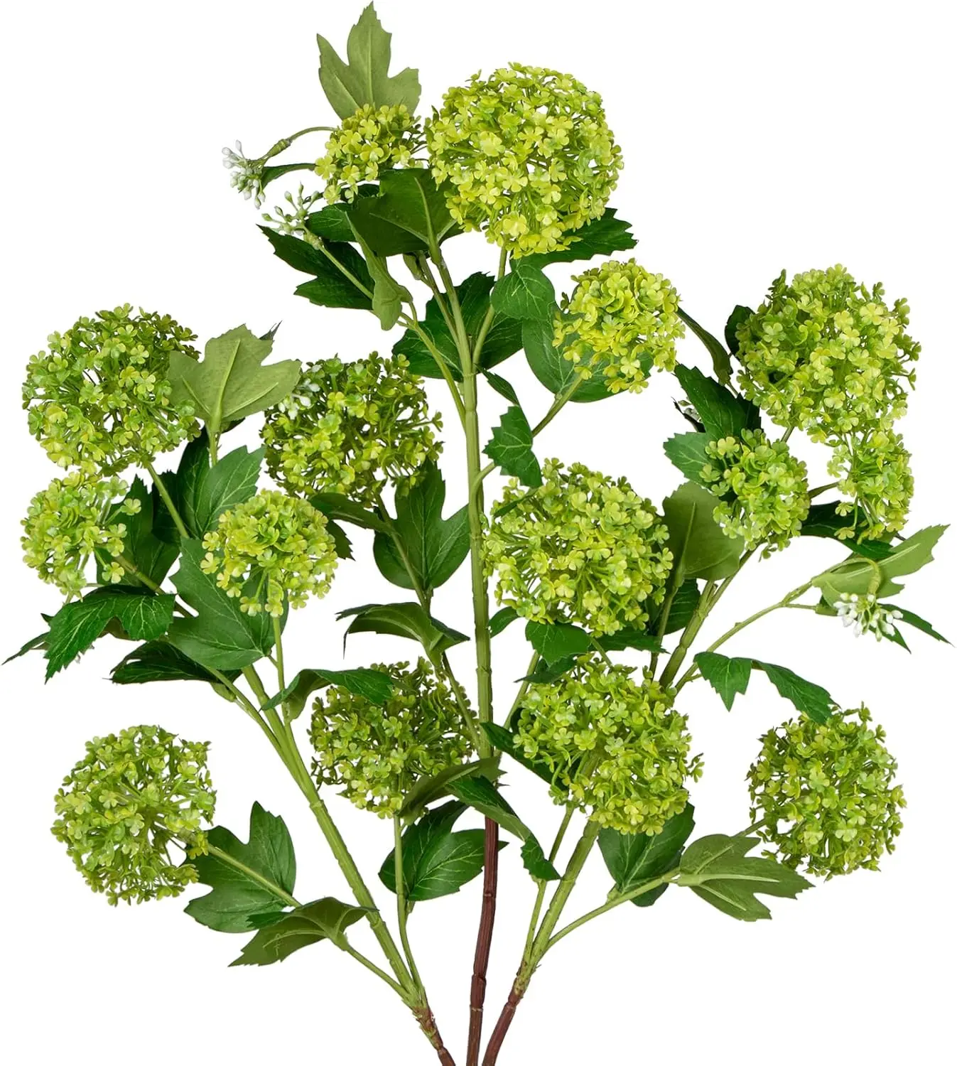 Faux Hydrangea Flowers 31" Green Artificial Hydrangea Spray with 5 Flower Heads, 3 Per Bag.Faux Hydrangeas Plastic Flowe
Faux Hydrangea Flowers 31" Green Artificial Hydrangea Spray with 5 Flower Heads, 3 Per Bag.Faux Hydrangeas Plastic Flowe