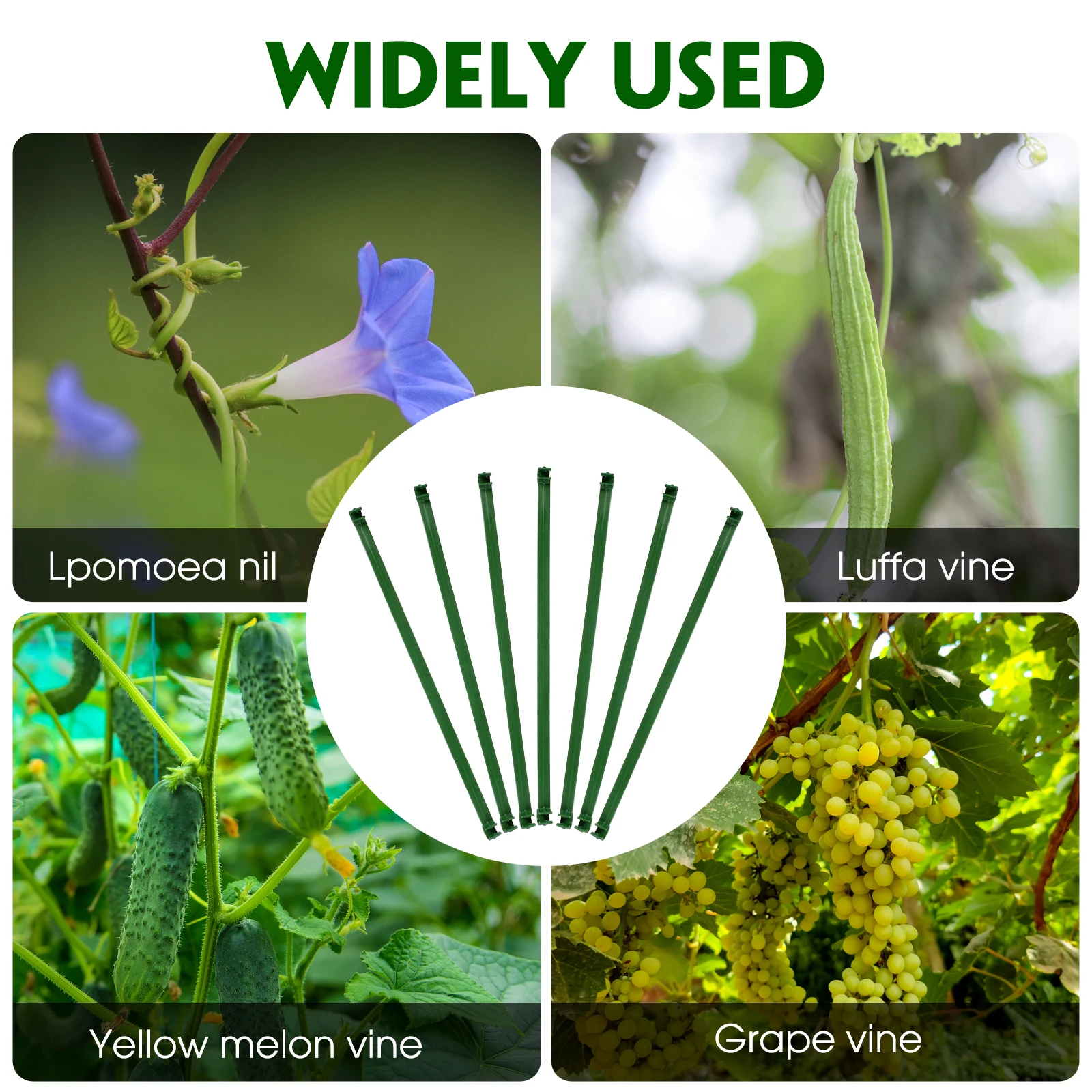 24pcs Plastic Connection Parts Plant Cage Connectors Lightweight Reusable for Tomato Cucumber Climbing Support Bracket Trellis 
24pcs Plastic Connection Parts Plant Cage Connectors Lightweight Reusable for Tomato Cucumber Climbing Support Bracket Trellis