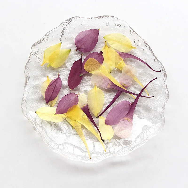 60Pcs Dried Columbine Flower Petals Pressed Flower Decoration for Face, Photo Frame, Bookmark, Resin Plant Specimen, Pressed Flower Material Kit, Desk Lamp
60Pcs Dried Columbine Flower Petals Pressed Flower Decoration for Face, Photo Frame, Bookmark, Resin Plant Specimen, Pressed Flower Material Kit, Desk Lamp